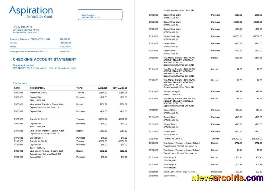 Egypt Aspiration bank statement